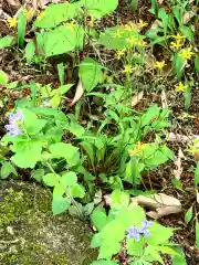 蚕影神社(茨城県)