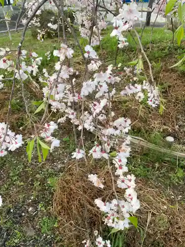 東光寺（観音堂）(神奈川県)