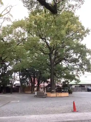 川原神社の自然