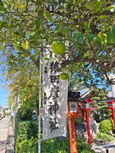 尾張猿田彦神社(愛知県)