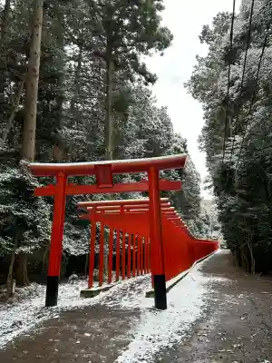 美濃國一宮 南宮大社(岐阜県)