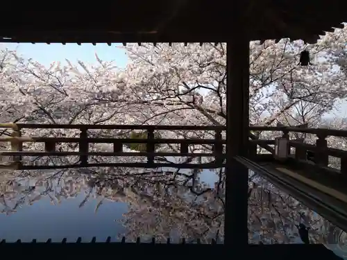 園城寺（三井寺）の建物その他