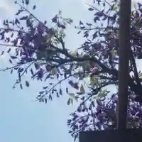 篠ケ谷神社の自然