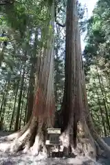 三峯神社の自然