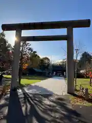 札幌護國神社の鳥居