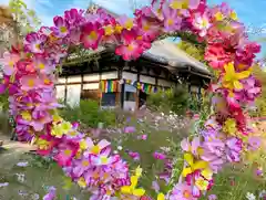 般若寺 ❁﻿コスモス寺❁(奈良県)