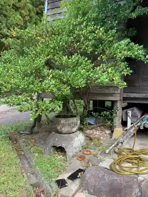 八千鉾神社(石川県)