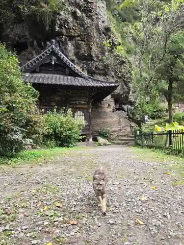 釋尊寺(長野県)