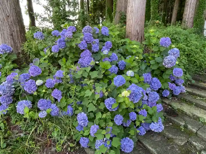清行院 深堀観音堂(山形県)