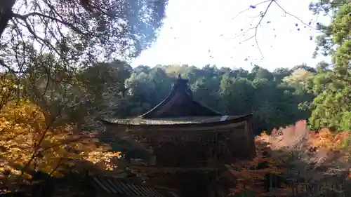 大矢田神社(岐阜県)