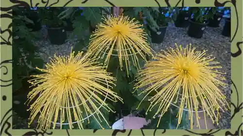 草加神社(埼玉県)
