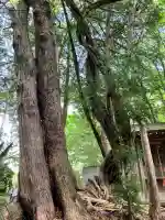 大山祇神社(埼玉県)