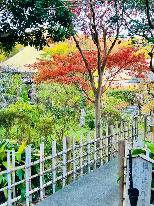 光触寺(神奈川県)