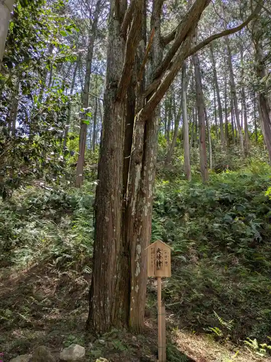暁堂寺(岐阜県)
