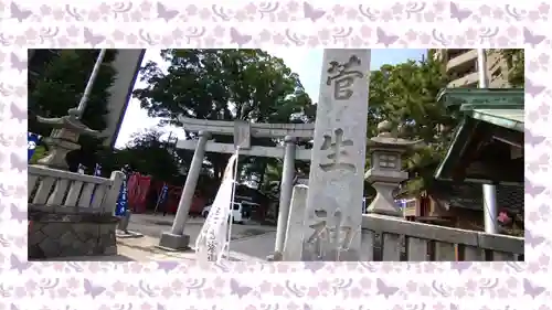 菅生神社(愛知県)