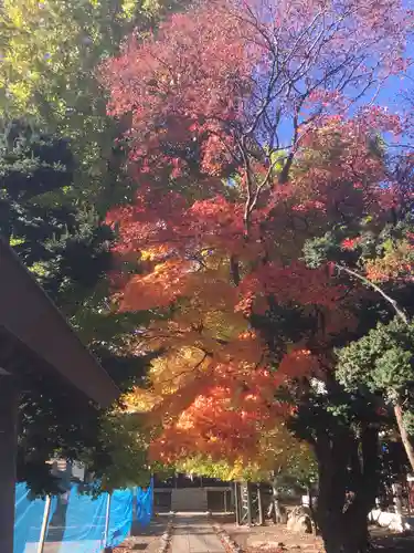 福住厳島神社の自然