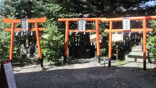 朝日氷川神社(埼玉県)