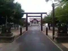 苗穂神社の鳥居