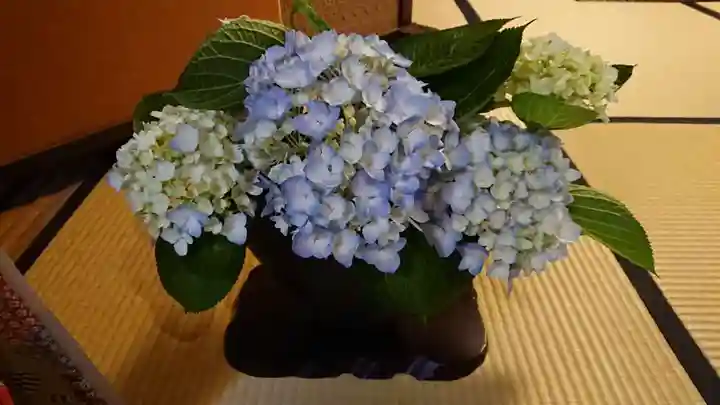 龍雲院(京都府)