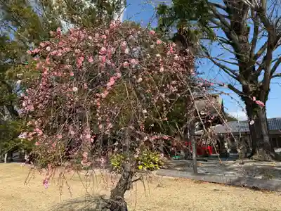 美奈宜神社(福岡県)