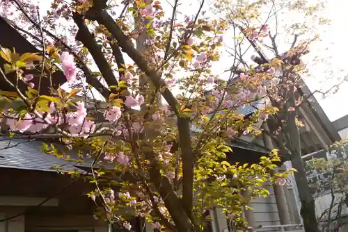蛇窪神社の自然