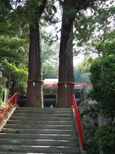 八幡朝見神社の自然