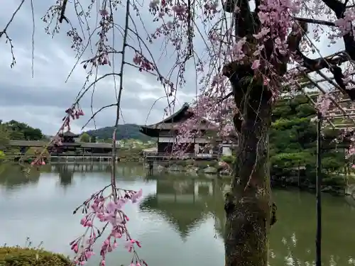 平安神宮のその他建物