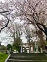 葛西神社の鳥居
