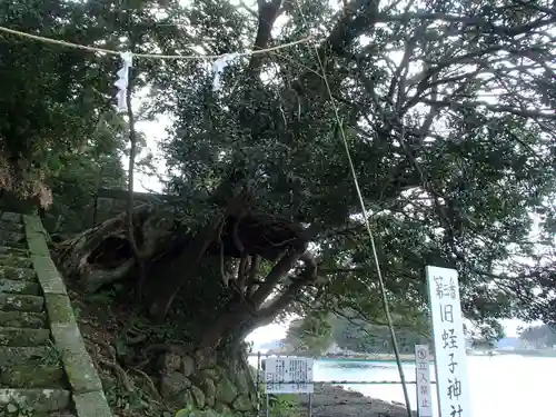 旧蛭子神社御旅所のその他建物