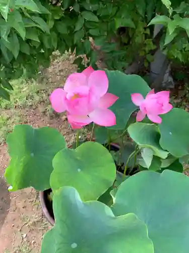 法華経寺(千葉県)