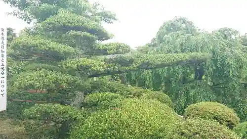 大聖寺（土浦大師不動尊）の庭園