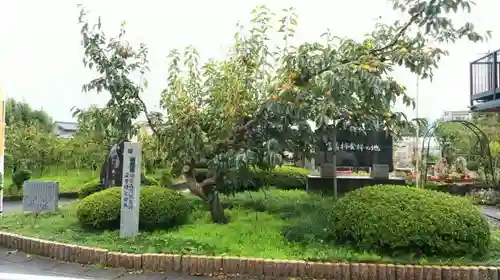 天神神社（伊久良河宮 天神宮）の庭園