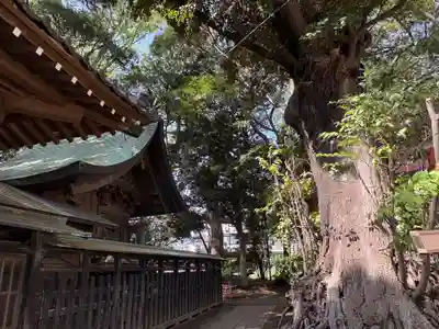 丹生神社(千葉県)