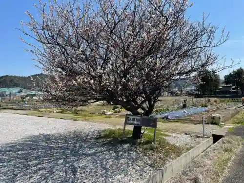 大谷吉継の首塚地蔵の{uncategorized: "未分類", other: "その他", undefined: "問題あり", building: "その他建物", grave: "お墓", sacred_gate: "鳥居", guardian: "狛犬", statue: "像", buddha: "仏像", history: "歴史", nature: "自然", garden: "庭園", animal: "動物", pagoda: "塔", temizu: "手水舎", mountain_gate: "山門・神門", sanctuary: "本殿・本堂", subordinate: "末社・摂社", art: "芸術", scenery: "景色", jizo: "地蔵", ema: "絵馬", goshuin: "御朱印", omikuji: "おみくじ", items: "授与品その他", amulet: "お守り", goshuincho: "御朱印帳", eats: "食事", festival: "お祭り", votive_dance: "神楽", shichigosan: "七五三参", wedding: "結婚式", experience: "体験その他", initially: "初詣", around: "周辺", anti_infection: "感染症対策"}