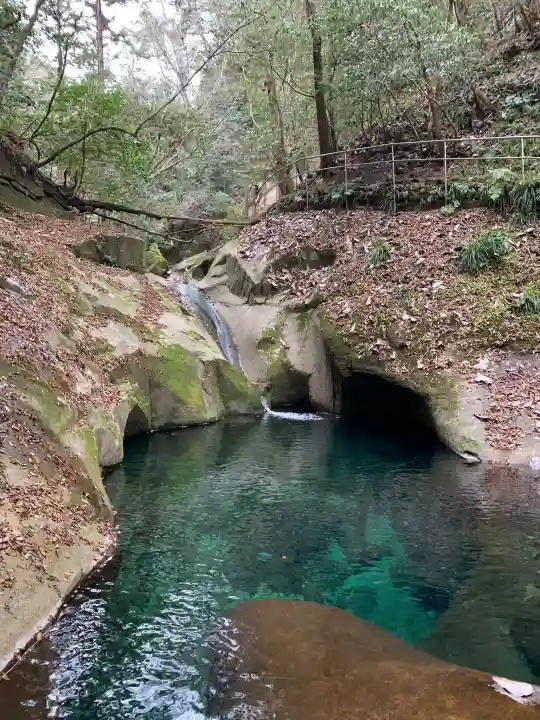 龍鎮神社の自然