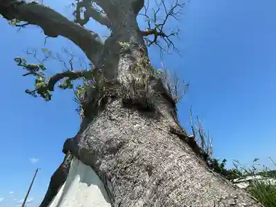 大木神社跡地(三重県)