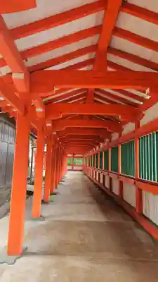 日御碕神社(島根県)