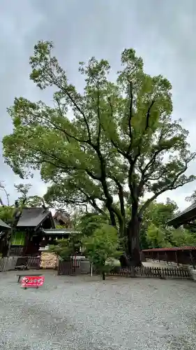 大鳥大社(大阪府)