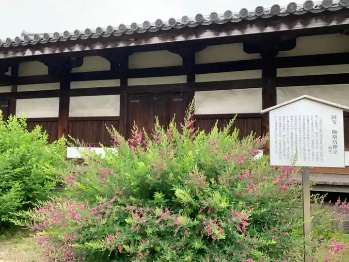 元興寺(奈良県)