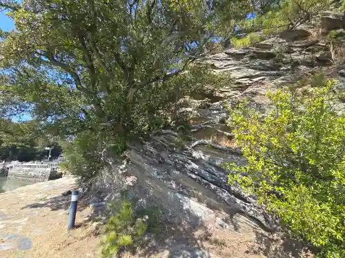 海禅院(和歌山県)