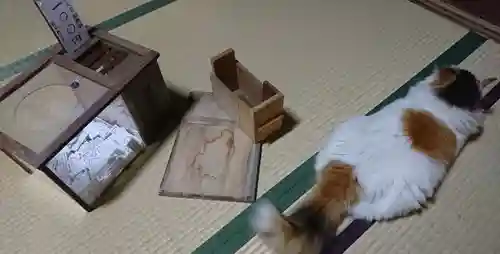 阿邪訶根神社の動物