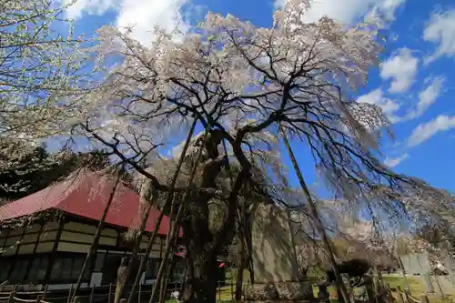 永泉寺の庭園