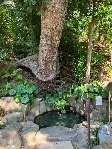 師岡熊野神社(神奈川県)