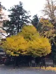 秩父神社の自然