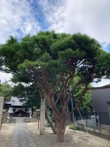 上高野神社(埼玉県)