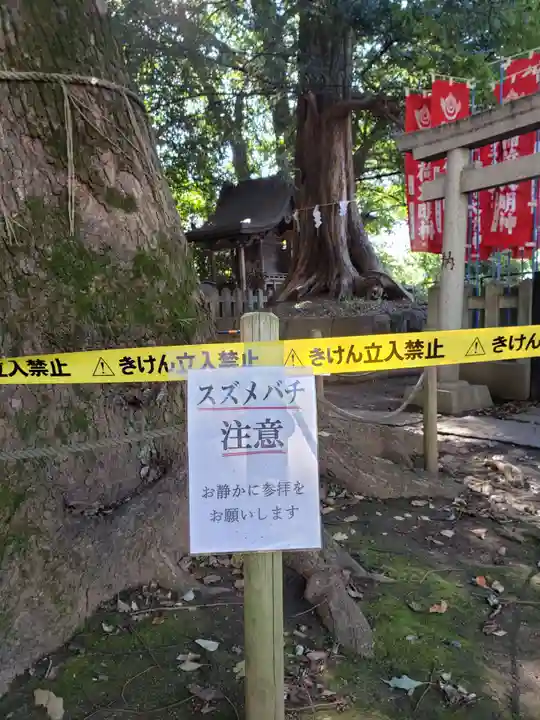 諏訪神社(東京都)