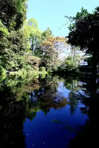 富士山本宮浅間大社(静岡県)