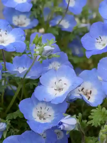 久富稲荷神社(東京都)