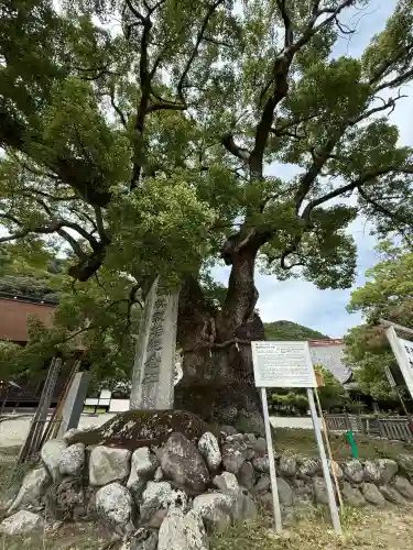 本遠寺(山梨県)