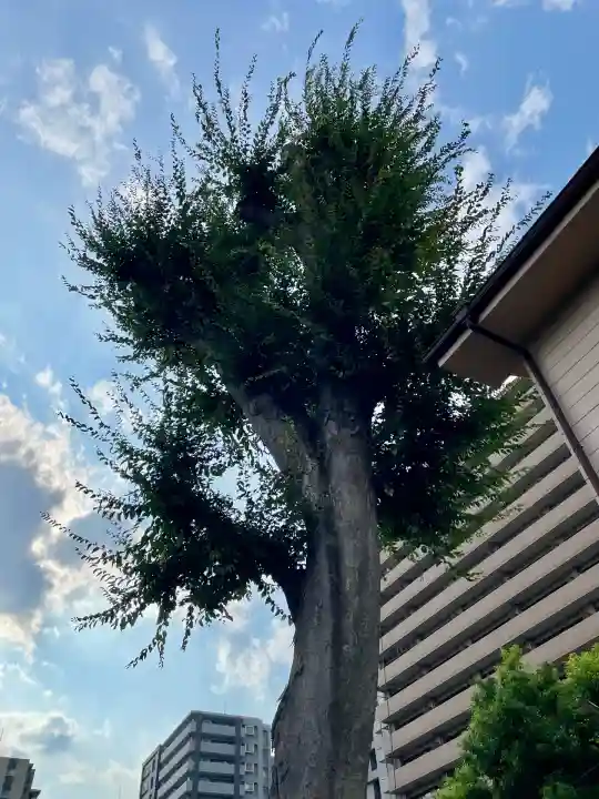 菅原神社(埼玉県)